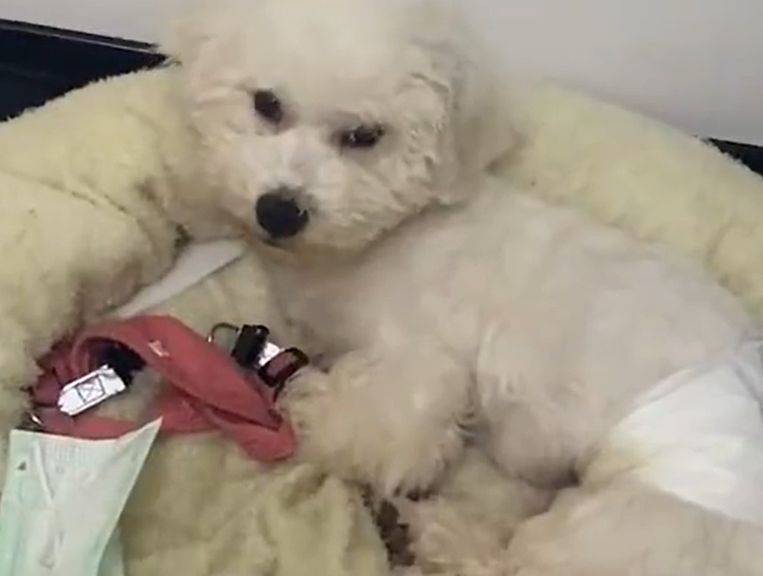 华为手机短信变彩信
:江苏身边事：萌娃遇陌生人喂草莓咬紧牙不张口
