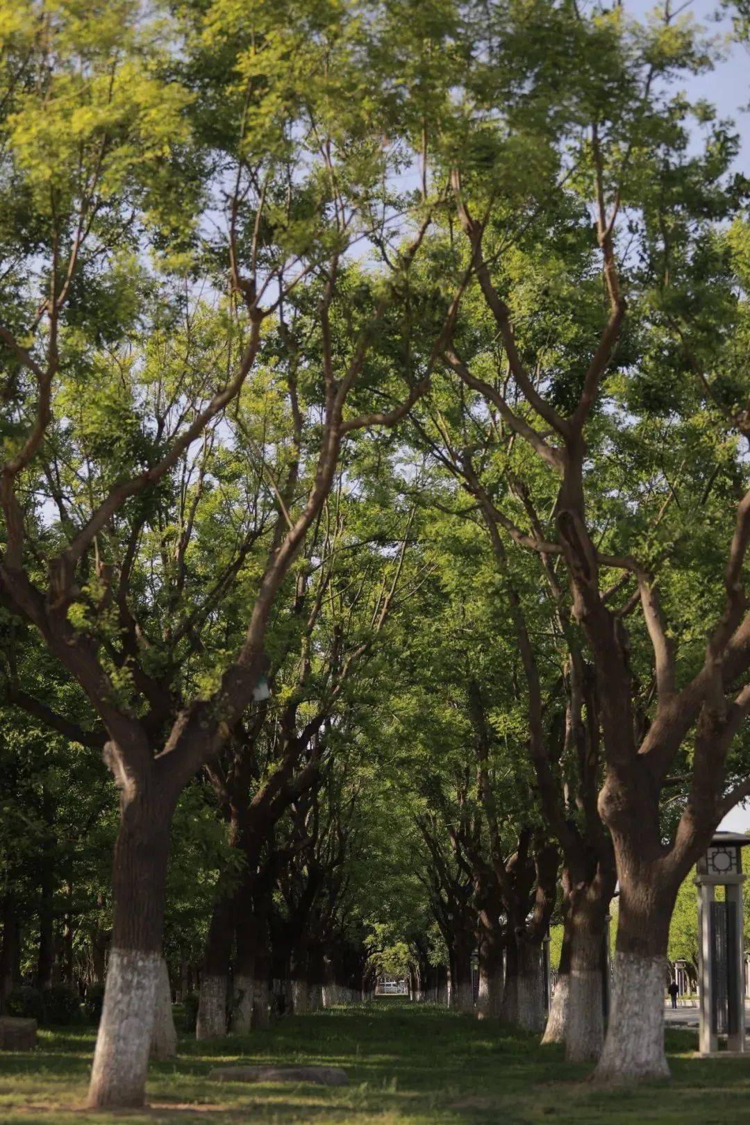淘宝苹果耳机教育版:「行走的中轴线 · 平行时空的眺望」主创团队受邀参与北京中轴线主题国际传播纪录片《京之轴》发布仪式-第24张图片-太平洋在线下载