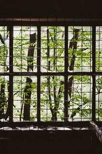 自选股手机版-第3张图片-太平洋在线下载 自选股手机版-第3张图片-太平洋在线下载