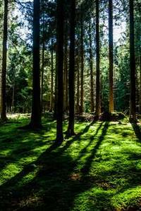 业绩宝苹果版下载-第4张图片-太平洋在线下载 业绩宝苹果版下载-第4张图片-太平洋在线下载