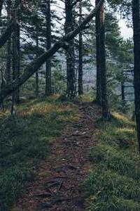 掌上王者荣耀 苹果版