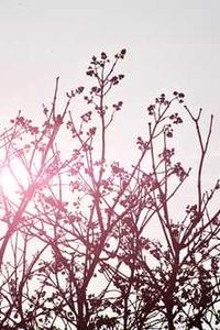 苹果11绿色版壁纸-第4张图片-太平洋在线下载 苹果11绿色版壁纸-第4张图片-太平洋在线下载