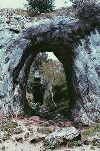 日韩版苹果x好吗