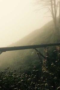官方免费下载苹果版软件-第3张图片-太平洋在线下载 官方免费下载苹果版软件-第3张图片-太平洋在线下载