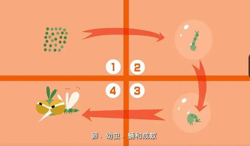 手机魔塔:雨后蚊子增多，如何解决叮咬困扰？