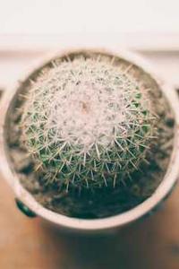 苹果版电脑怎么截图
