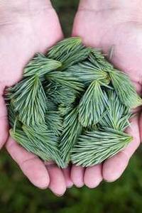 渤海证券手机版动物-第2张图片-太平洋在线下载 渤海证券手机版动物-第2张图片-太平洋在线下载