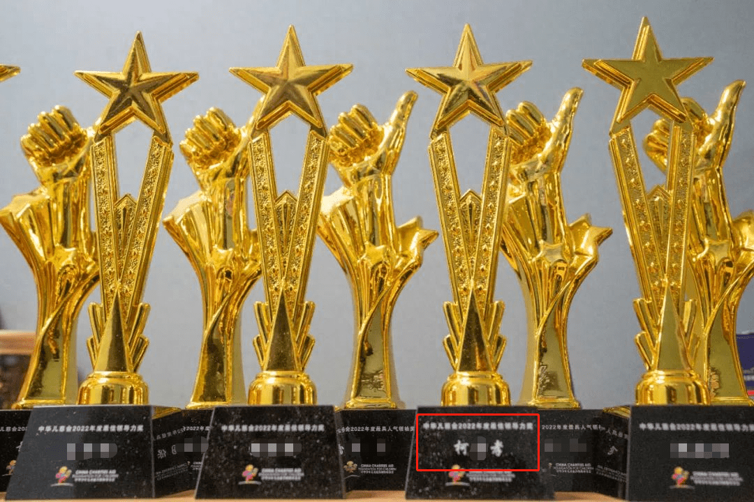 手机办理身份证:网传河北儿慈会负责人卷走千万救命款，中华儿慈会：诈骗属于个人行为
