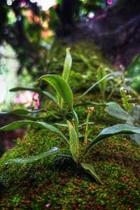 海草直播app苹果版-第4张图片-太平洋在线下载 海草直播app苹果版-第4张图片-太平洋在线下载
