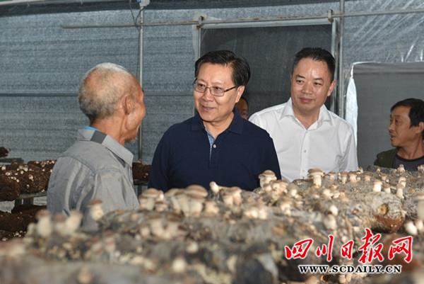 仪陇新闻头条客户端今日头条电脑版客户端