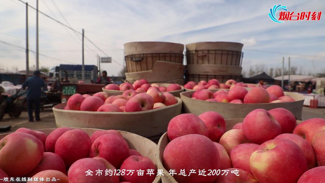 中国苹果基地视频新闻查找iphone网页登录入口
