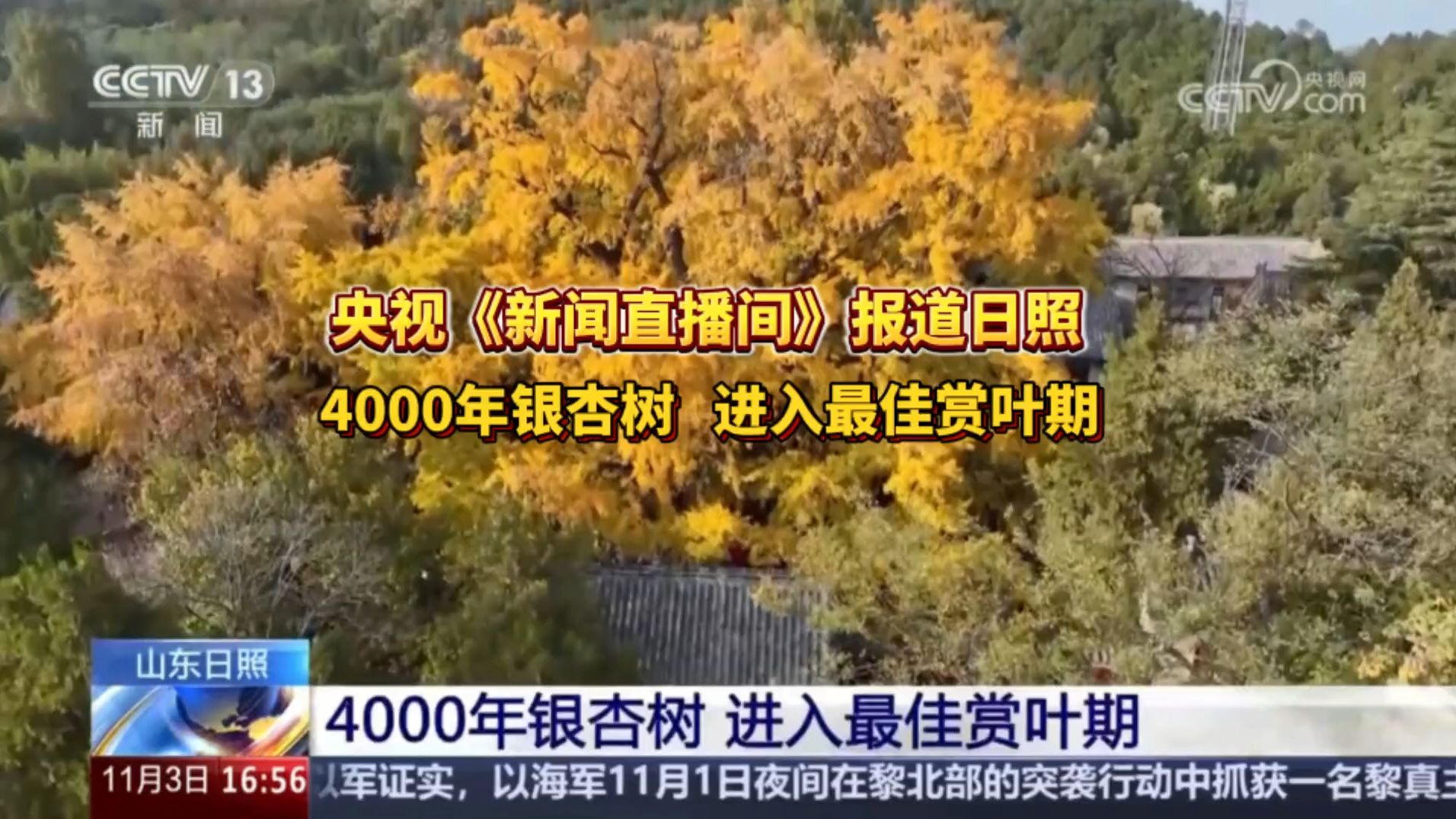 下载直播日照客户端太阳直播apk安装包
