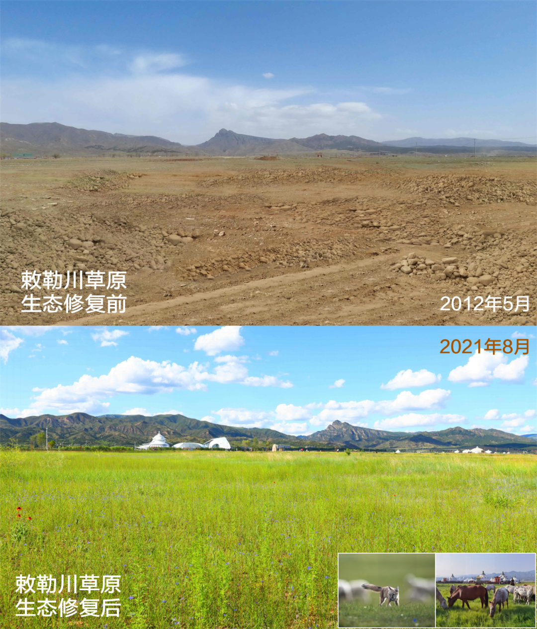 小草客户端无法连接小草客户端哪个是真的