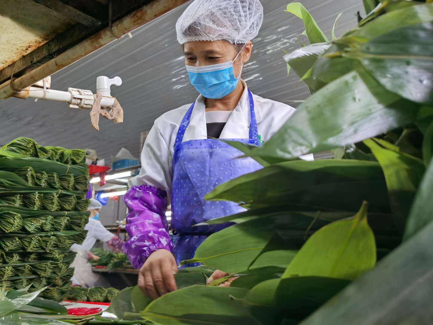 鹤峰扶贫安卓版鹤峰骆渊海案件详情-第2张图片-太平洋在线下载